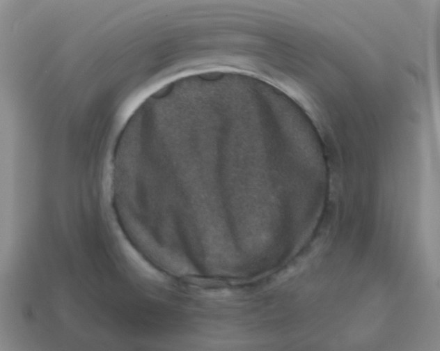 X0000113281524200910130955