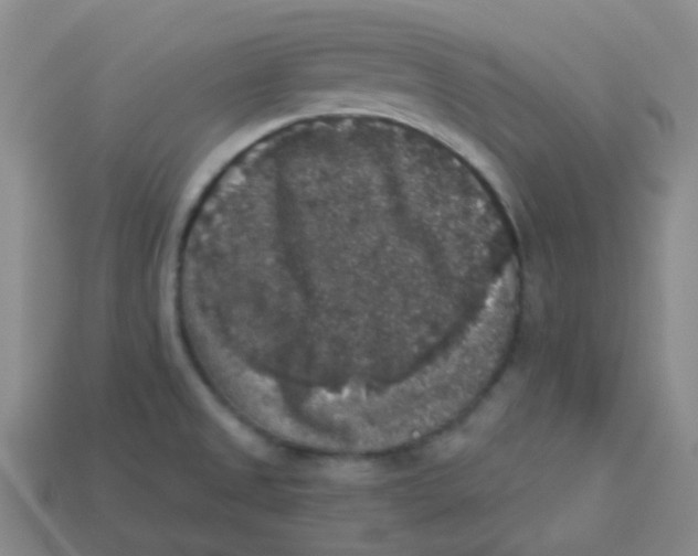 X0000113281525200910130955