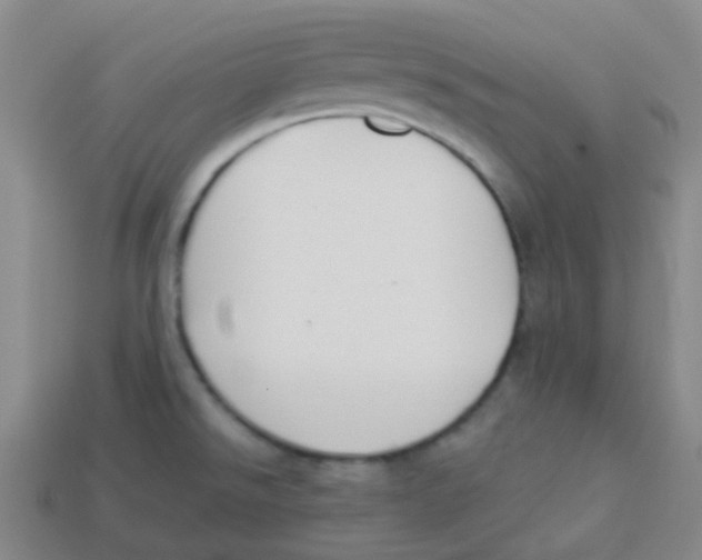 X0000113281526200910130955