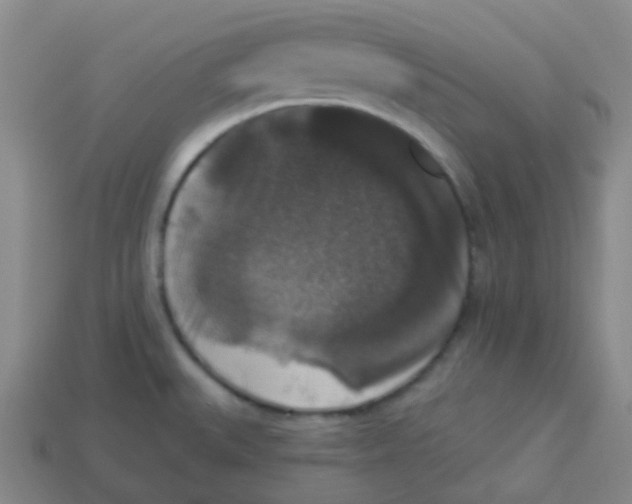 X0000113281527200910130955