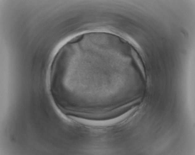 X0000113281528200910130955