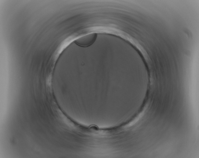 X0000113281529200910130955