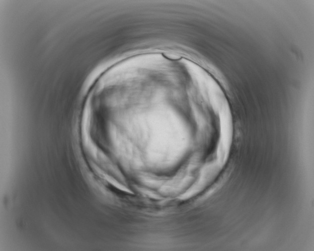 X0000113281530200910130955