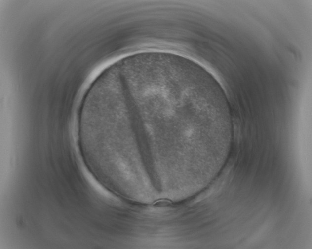 X0000113281531200910130955