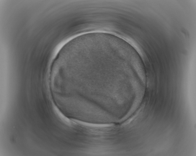 X0000113281532200910130955