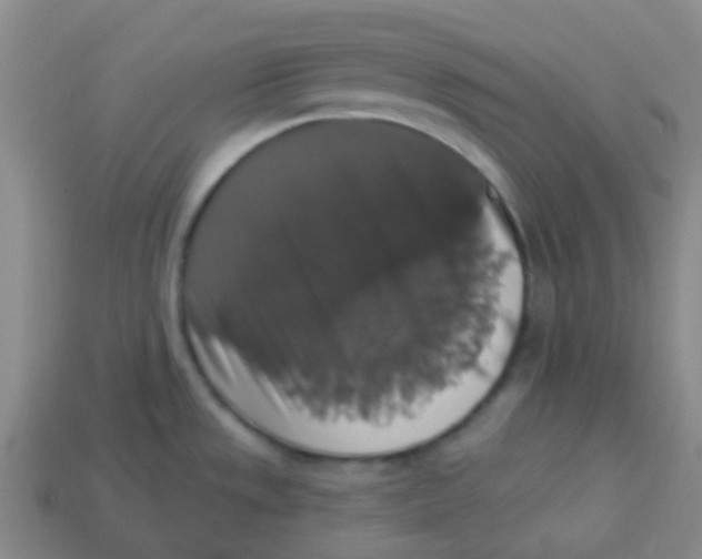 X0000113281533200910130955