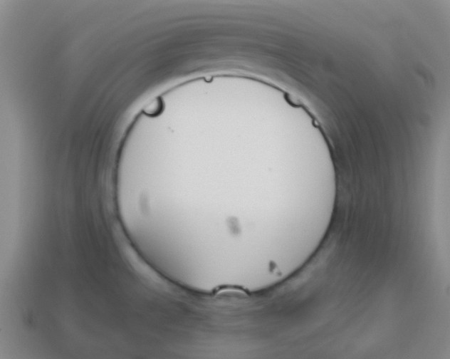 X0000113281534200910130955