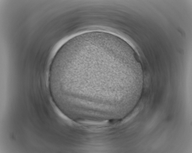 X0000113281535200910130955