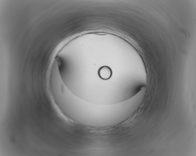 X0000113281536200910130955