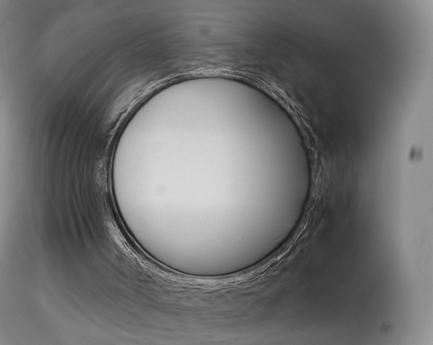 X0000113290002200909141016