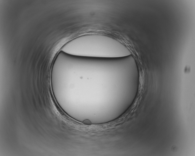 X0000113290003200909141016