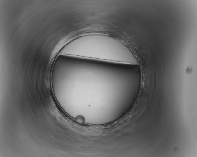 X0000113290004200909141015