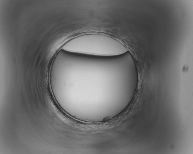 X0000113290005200909141015