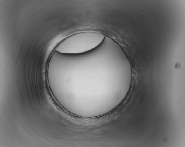 X0000113290006200909141015