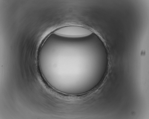 X0000113290008200909141015