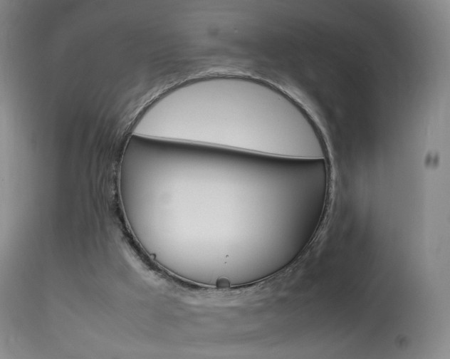 X0000113290009200909141015