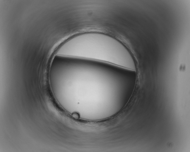 X0000113290012200909141015