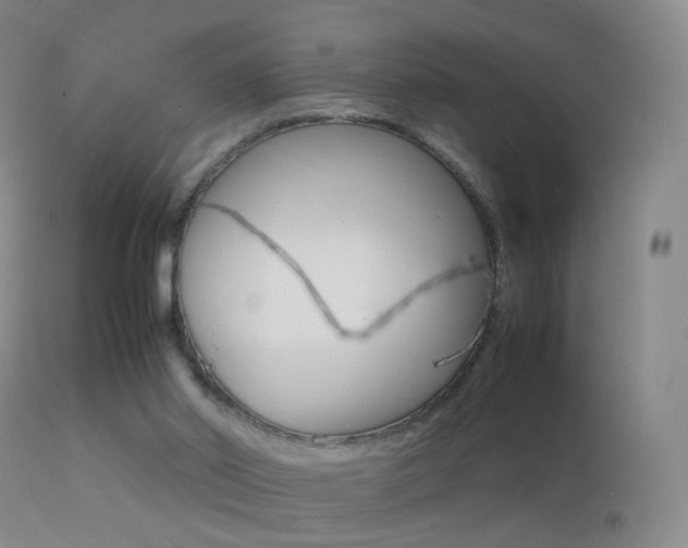 X0000113290014200909141015