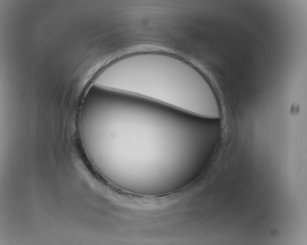 X0000113290015200909141015