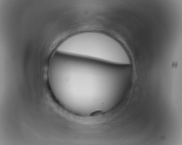 X0000113290019200909141015