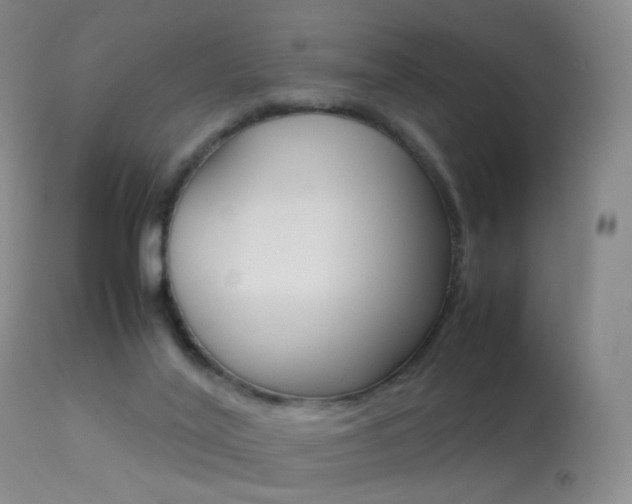 X0000113290020200909141015