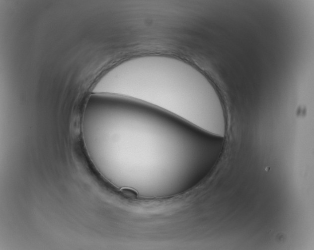 X0000113290021200909141015