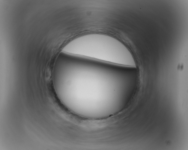 X0000113290025200909141015