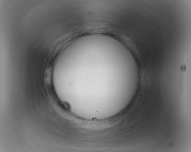 X0000113290026200909141015