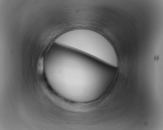 X0000113290028200909141015