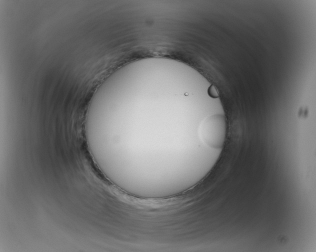 X0000113290030200909141015