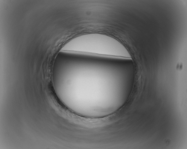 X0000113290031200909141015