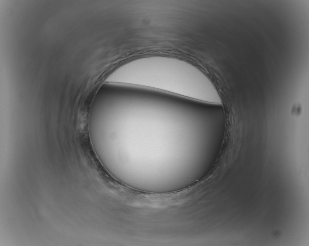 X0000113290033200909141015