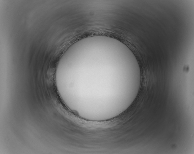 X0000113290034200909141015