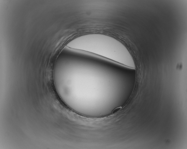 X0000113290035200909141015