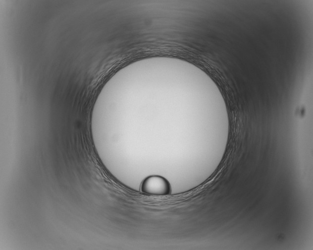 X0000113290041200909141015