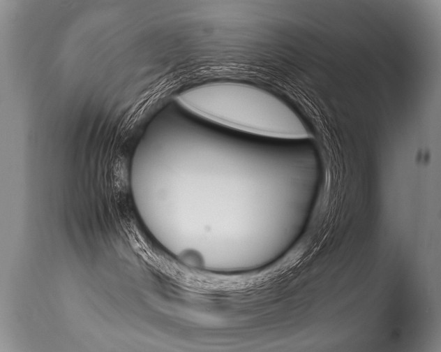 X0000113290048200909141015