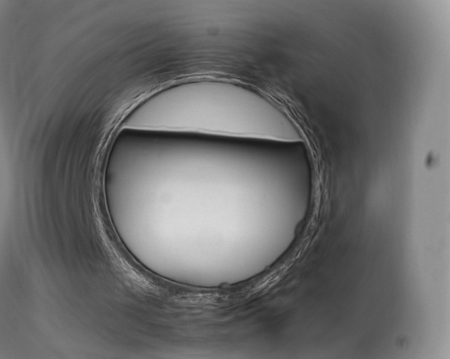 X0000113290049200909141014