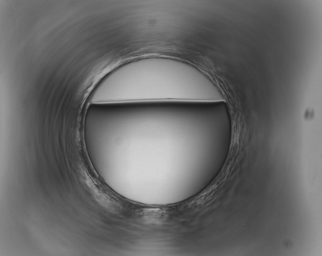X0000113290050200909141014
