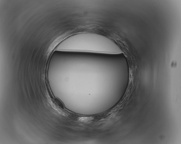 X0000113290051200909141014