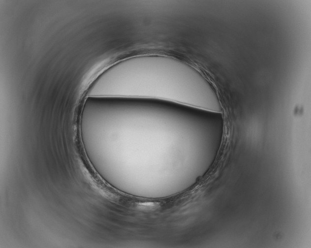 X0000113290053200909141014