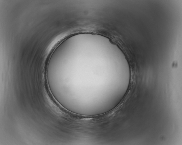 X0000113290054200909141014