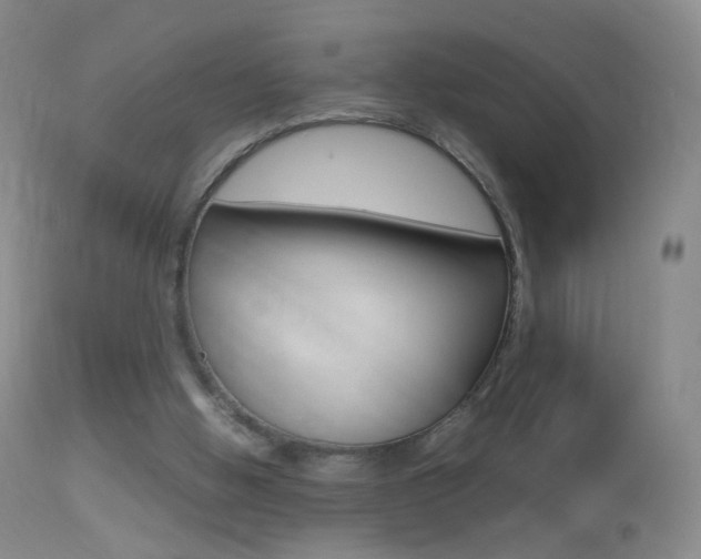 X0000113290058200909141014