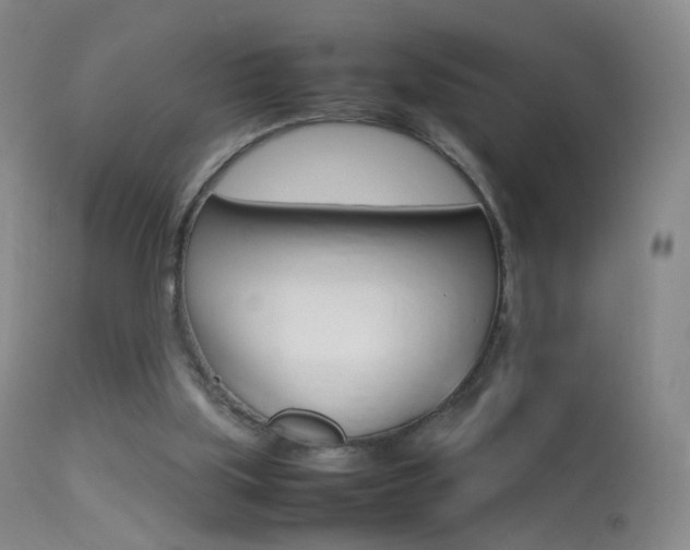 X0000113290059200909141014