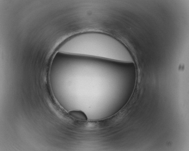 X0000113290060200909141014
