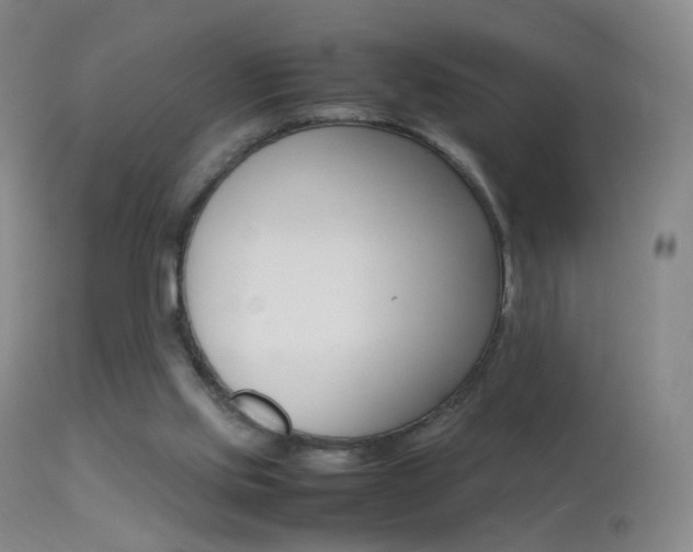 X0000113290061200909141014