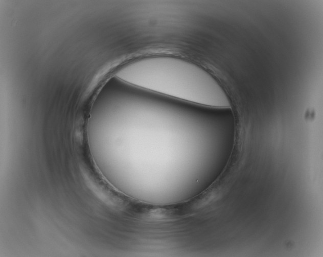 X0000113290064200909141014