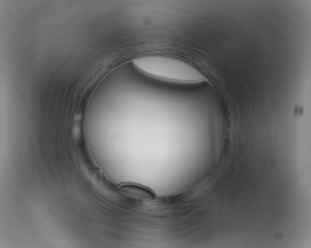 X0000113290070200909141014