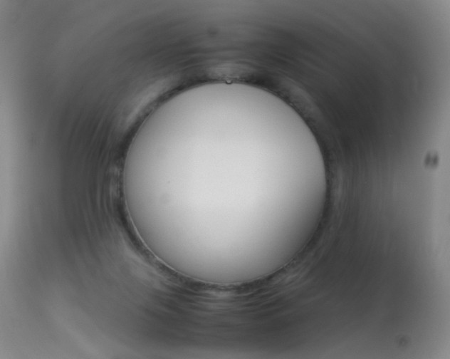X0000113290071200909141014