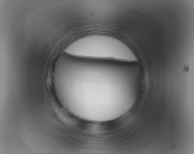 X0000113290074200909141014