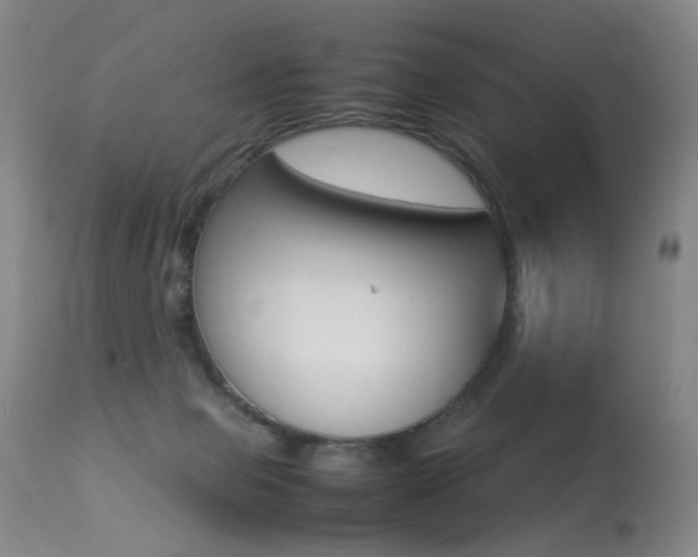 X0000113290077200909141014